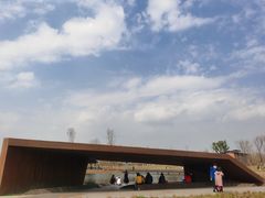 -白鹭湾湿地公园