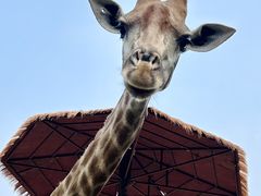 -济南野生动物世界