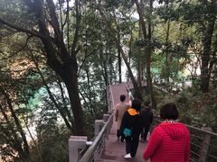 -广州市流溪河国家森林公园