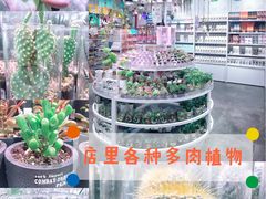 -KKV(深圳kk one 店)