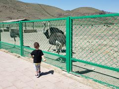 -新疆天山野生动物园