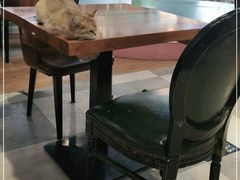-猫小院猫主题餐厅(三里屯店)