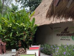 -大象粑粑造纸公园