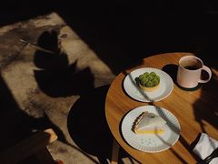 -猫里有甜
