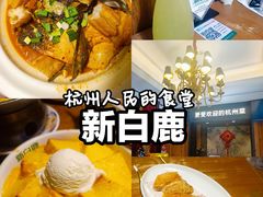 -新白鹿餐厅(龙游路店)