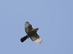 -苏州河梦清园环保主题公园