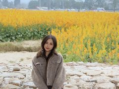 -三圣花乡旅游区