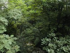 -华山风景名胜区