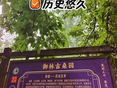 -御林古桑园