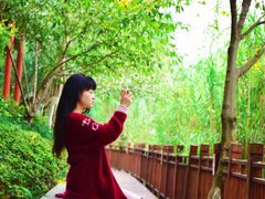 -重庆彩云湖湿地公园