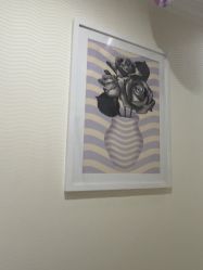 -SILKTONE诗丽堂美容