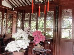 -上海醉白池公园