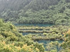 -九寨沟-树正沟