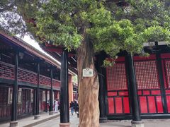 -成都市文殊院