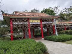 -顺峰山公园