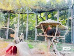-上海野生动物园