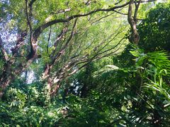 -佛山祈福仙湖酒店