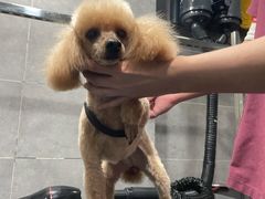 -宠颐生嘉德动物医院