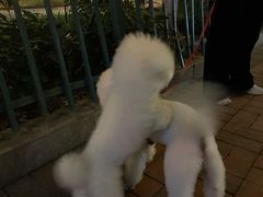 -颐而康按摩(八一桥总店)