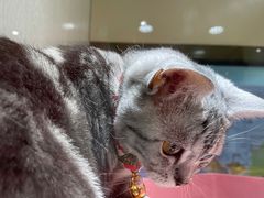 -乐宠宠物店(世纪金源店)