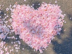 -永乐路-路侧停车场