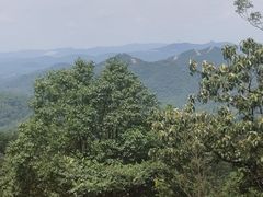 -桃花岭景区