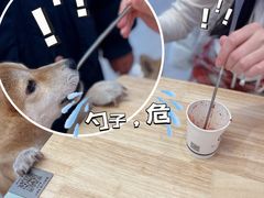 -柴犬小屋·柴餐厅·狗咖食堂(金鼎广场店)
