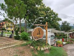 -黄色小屋