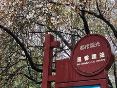 -铁山坪森林公园