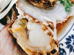 油泼扇贝-1937青岛老味道·青岛菜(大鲍岛栈桥店)