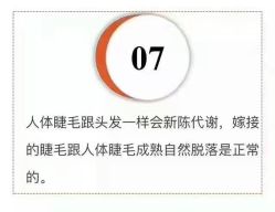 -慕拉美甲美睫皮肤管理