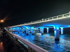 -演武大桥观景平台