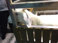 -上海大自然野生昆虫馆