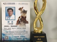 -北京观赏动物医院·24小时大型综合·猫专科·异宠专科