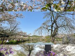 -东湖磨山景区