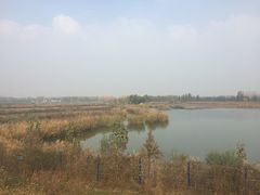 -微山湖红荷湿地景区
