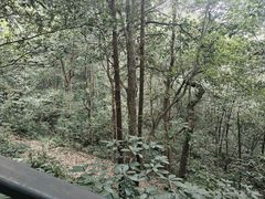 -灵顺寺
