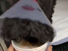 -宠颐生中康贝怡动物医院