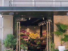 -溪岸路花鸟市场
