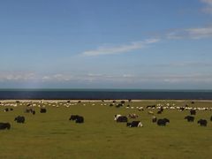 -青海湖国家重点风景名胜区