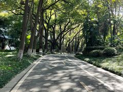 -采石矶景区
