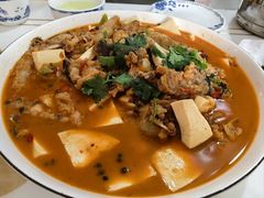 -煲来饱去冷水鱼