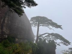 -黄山玉屏楼宾馆餐厅