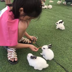 -萌宠亲子动物乐园(槐房万达店)