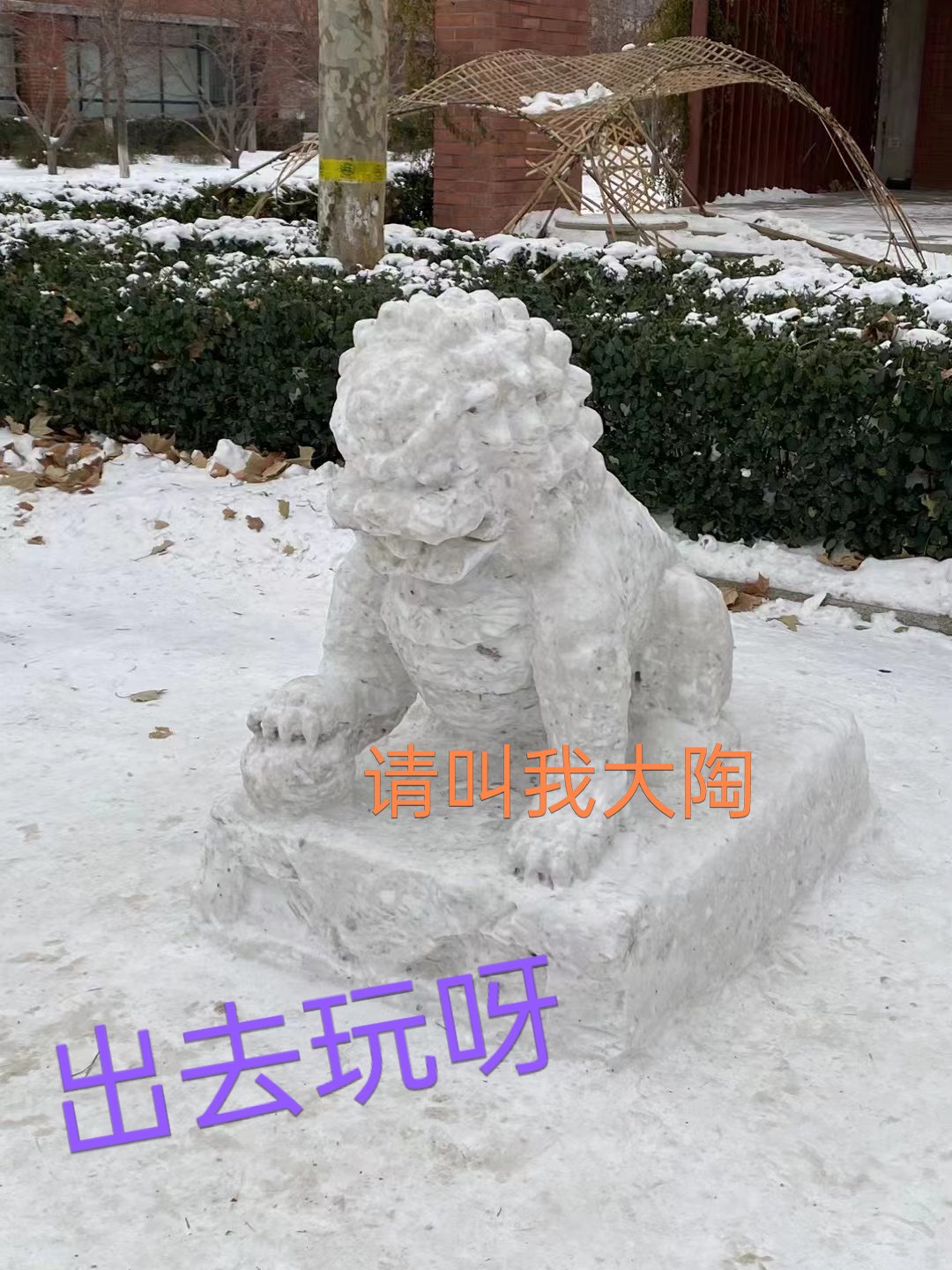 堆雪狮子图片图片