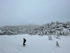 -武陵山森林公园