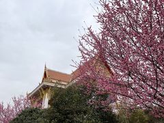 -洛阳白马寺