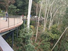 -广州市白云山风景名胜区