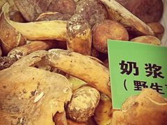 -菌海森林·非遗野生菌火锅(西山区滇池路摩根道店)