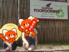 -大象粑粑造纸公园